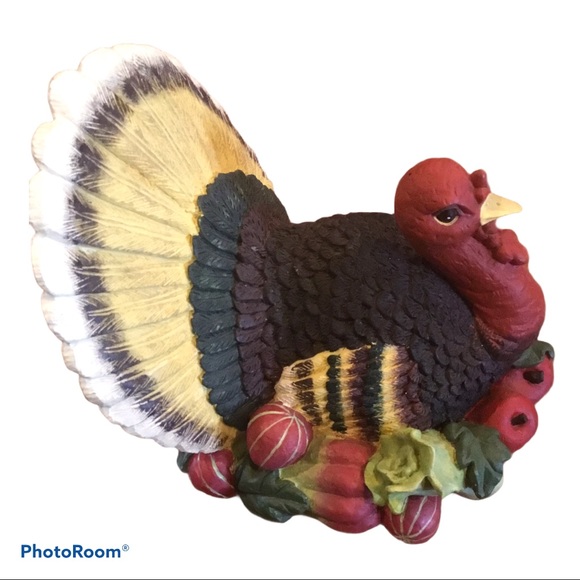 Large Turkey - Picture 4 of 5